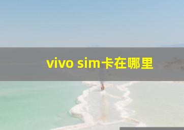 vivo sim卡在哪里